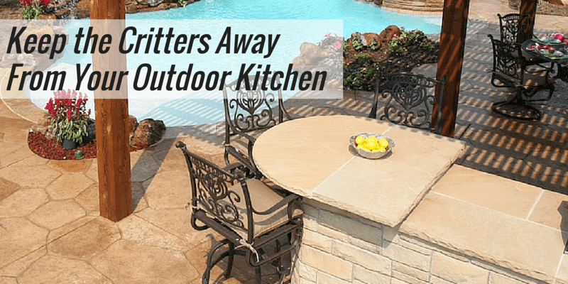 Unwanted Guests? How to Keep the Critters Away From Your Outdoor Kitchen